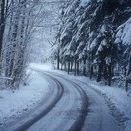 Profile Picture of Karen Adamson-Mike Avery (@kkaavery) on Pinterest