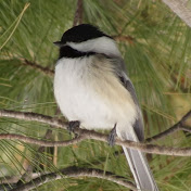 Profile Picture of Kim Muller (@kimsadventure) on Youtube