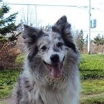 Profile Picture of wjc (@williamjaycorrigan) on Instagram