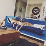 Max,Sammy,Kane,Maggie - Instagram Profile Picture of Max,Sammy,Kane,Maggie (@unwritten75) on Instagram