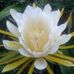 Profile Picture of Keith Riel (@keith.riel.75) on Facebook