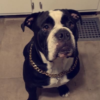 Profile Picture of Justin Worden (@JustinWorden12) on Twitter