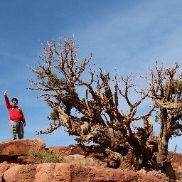 Profile Picture of Raymond Salcedo (@rasah05) on Twitter