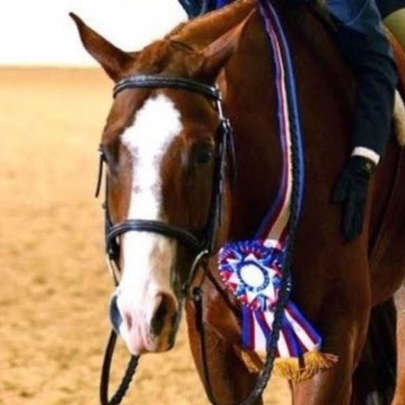 Profile Picture of Lisa Alewine (@sciencemom123) on Poshmark