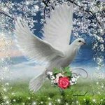 Profile Picture of Imad Moussa (@emad_muossa) on Instagram