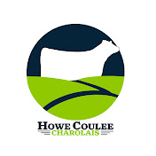 Profile Picture of Howe Coulee Charolais (@howecouleecharolais2168) on Youtube