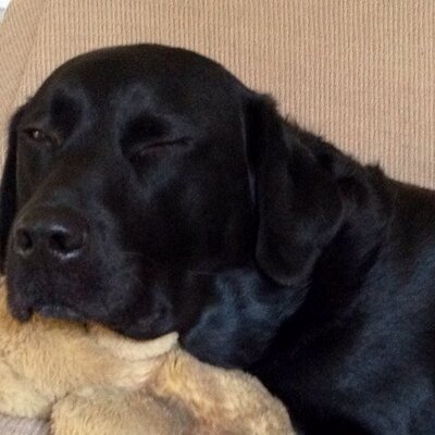 Profile Picture of Jean Howe (@jeanhowe55) on Twitter