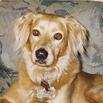 Profile Picture of Jeffrey Williams (@travel n texan) on Flickr