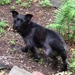 Profile Picture of Randall Munson (@munsonrandall) on Instagram