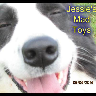 Profile Picture of Jessie's Mad Toys (@jessiesmadtoys) on Twitter