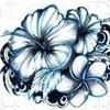 Profile Picture of Kim Eckhardt19 (@@kimeckhardt) on Tiktok