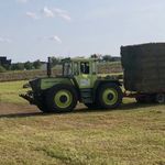 Profile Picture of Max (@max_mussack) on Instagram