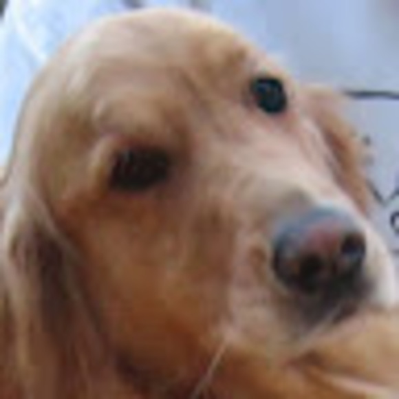 Profile Picture of Carl Stromquist (@carlst000) on Poshmark