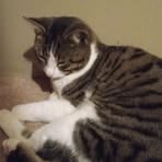 Profile Picture of Landyn Herbert (@landyn.herbert) on Facebook