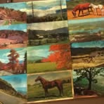 Profile Picture of Kala Derefield (@kala.derefield.5) on Facebook