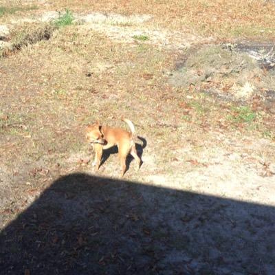 Profile Picture of Matt Wills (@randall_mat) on Twitter