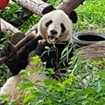 Profile Picture of Pavlo (@paul.evensen) on Instagram