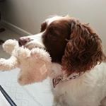 Profile Picture of Dawn Ashby (@dawnashby59) on Instagram