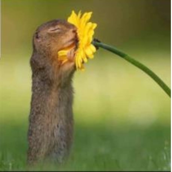 Profile Picture of Timothy Mccray (@mccrazytm) on Poshmark