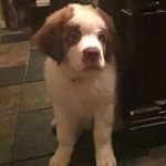 Profile Picture of Daniel Cofty (@daniel_cofty_90) on Instagram