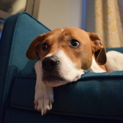 Profile Picture of Olive (@Joshua14316038) on Twitter