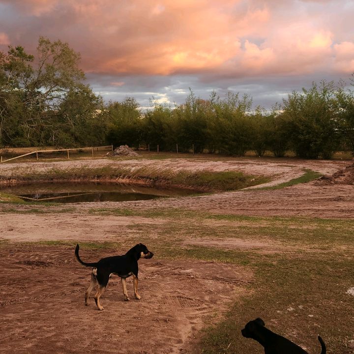 Profile Picture of Courtney Crain (@courtneycrain5) on Tiktok