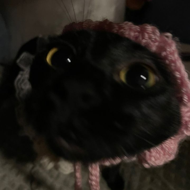 Profile Picture of Dayanara (@bibiiiiiiiv) on Tiktok
