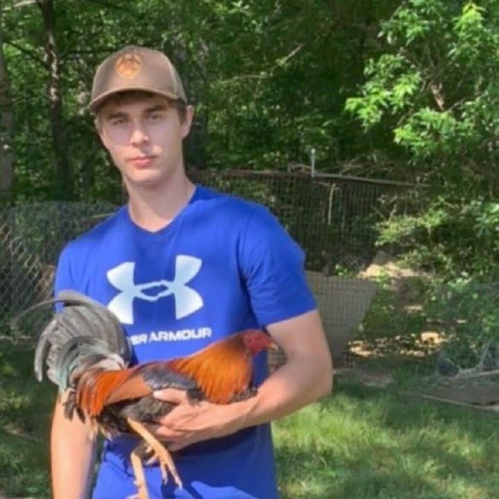 Profile Picture of Michael Wilde (@michaelwilde7) on Tiktok