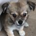 Profile Picture of June Dexter (@june.dexter.98) on Facebook