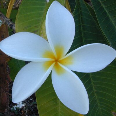 Profile Picture of Whitney Nichols (@whitnichols) on Twitter