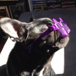 Profile Picture of Giselle (@gisellethespecialone) on Instagram