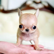 Profile Picture of Maria Fonseca (@MariaFonseca-o8x) on Youtube