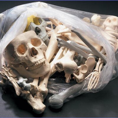 Profile Picture of Michael Winslow (@Bagobonesx) on Twitter