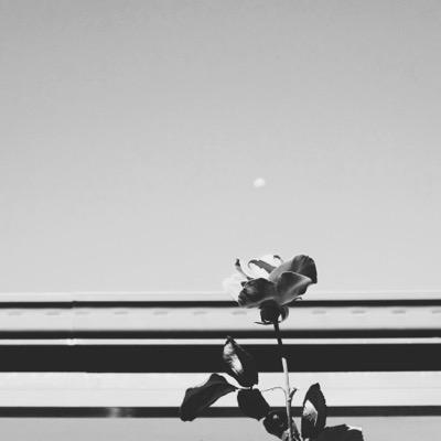 Profile Picture of SumYee Leong (@SumYeeLeong) on Twitter