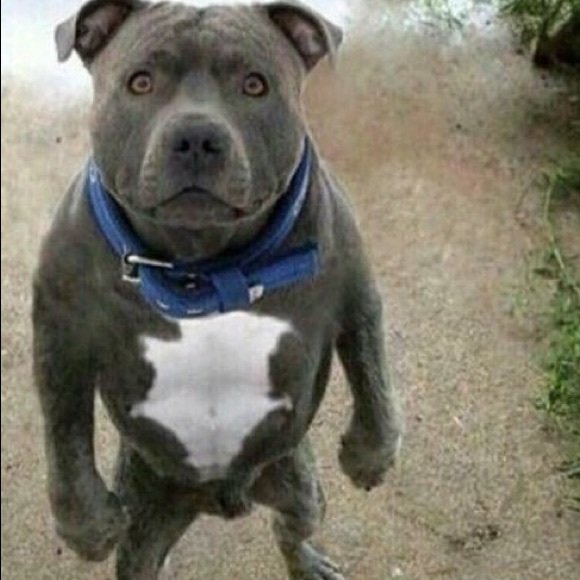 Ronnie Bonin - Poshmark Profile Picture of Ronnie Bonin (@ronnieb141) on Poshmark