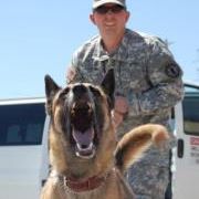 Robert Giglia - Pinterest Profile Picture of Robert Giglia (@GiGsK9) on Pinterest