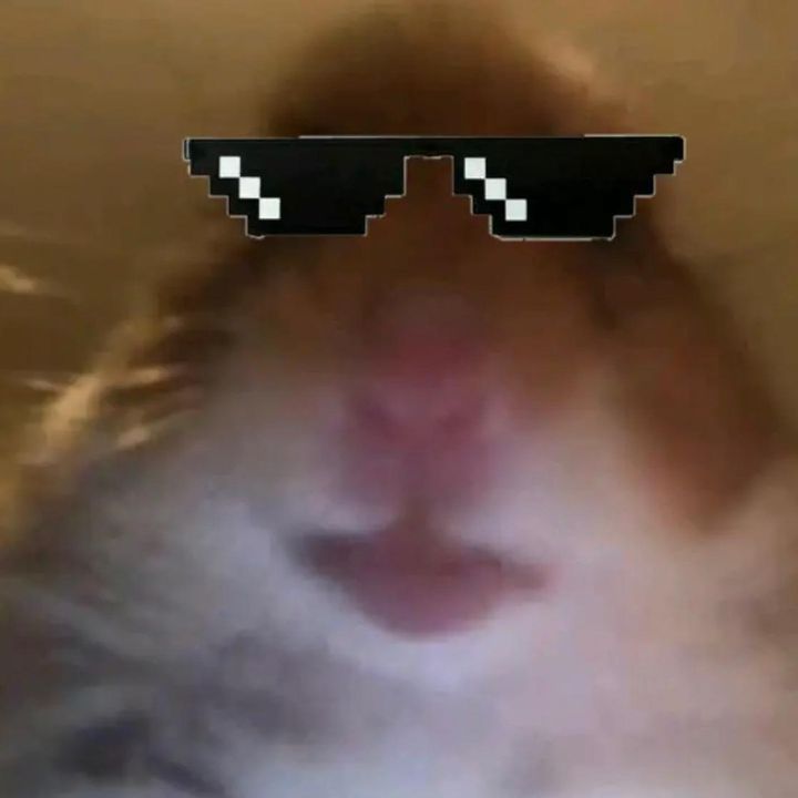 Profile Picture of Lisa Sanchez (@@lisasanchez50) on Tiktok