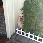 Profile Picture of Kevin Zinser (@kevinzinser) on Instagram