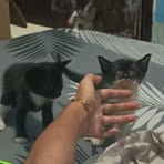 Profile Picture of Kai Kirk (@kirkandrew.deleon.9) on Facebook