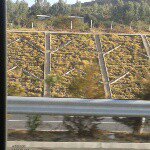 Profile Picture of Menna Alemu (@alemu_mena) on Instagram