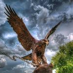 Profile Picture of Gary Conrad (@gary.conrad.564) on Instagram