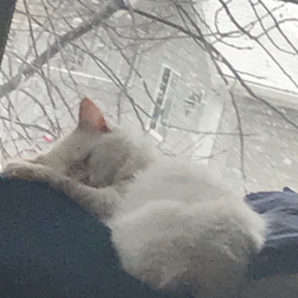 Profile Picture of Evan Groenewold (@funkolover574) on Poshmark