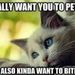 Profile Picture of Leta Lambert (@letalam) on Pinterest