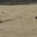 Travis Bruemmer - Instagram Profile Picture of Travis Bruemmer (@zipinz440) on Instagram