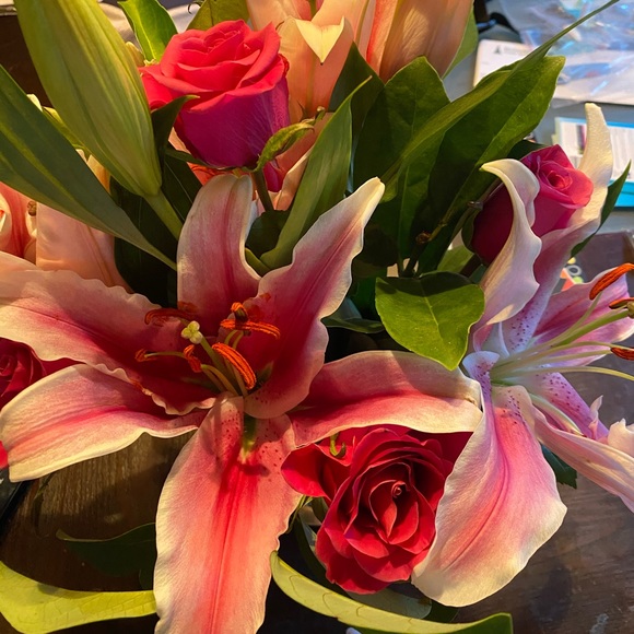 Profile Picture of Michelle Mackey (@dmmackey3) on Poshmark