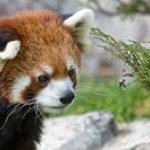 Profile Picture of Davis Kimball (@daviskimball) on Instagram