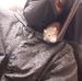 Profile Picture of Joe Cornwell (@joe.cornwell.3388) on Facebook