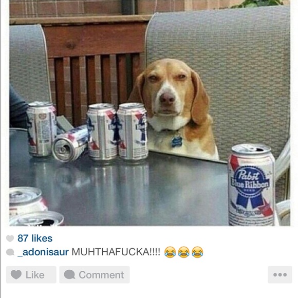 Profile Picture of Jordan Mocny (@jmocny) on Poshmark