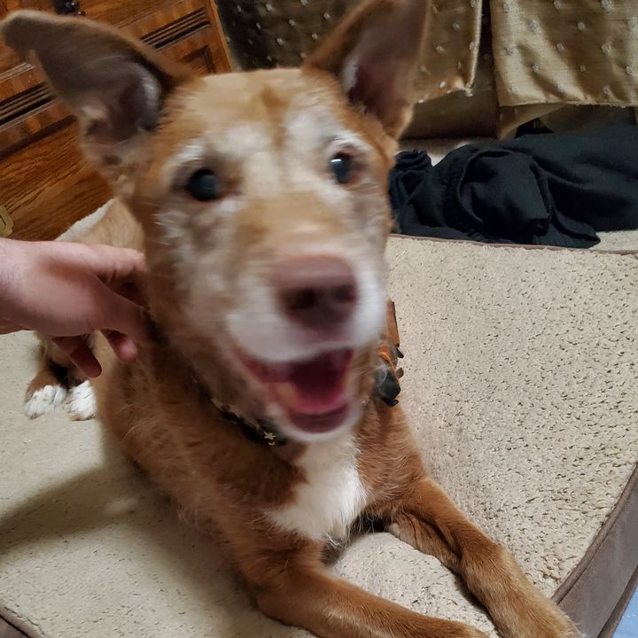 Profile Picture of Jeffrey Stone (@@jethro254official) on Tiktok