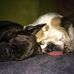 Profile Picture of Matthew Pegg (@matthew.pegg.737) on Facebook